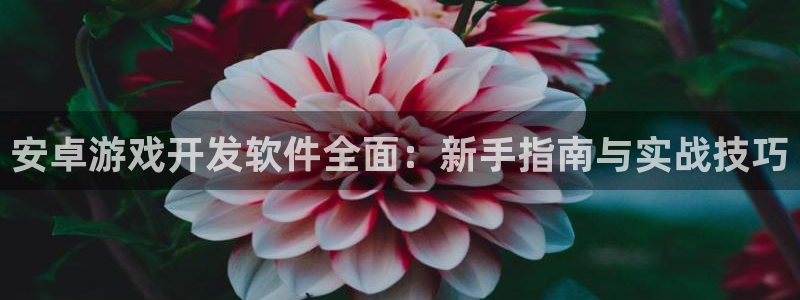 恩佐娱乐手机登录：安卓游戏开发软件全面：新手指南与实战技巧