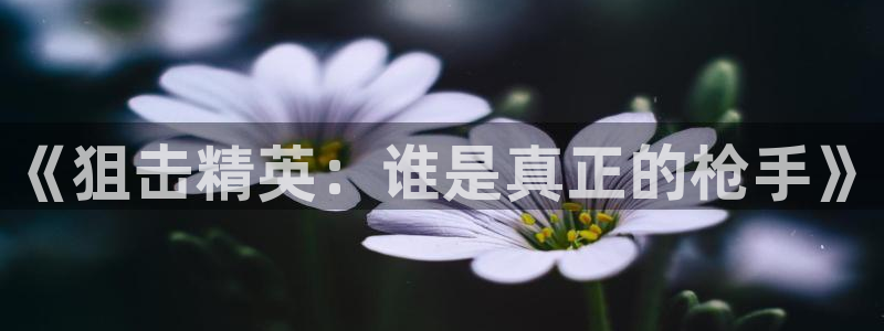 恩佐娱乐手机版最新功能介绍视频：《狙击精英：谁是真正的枪手》
