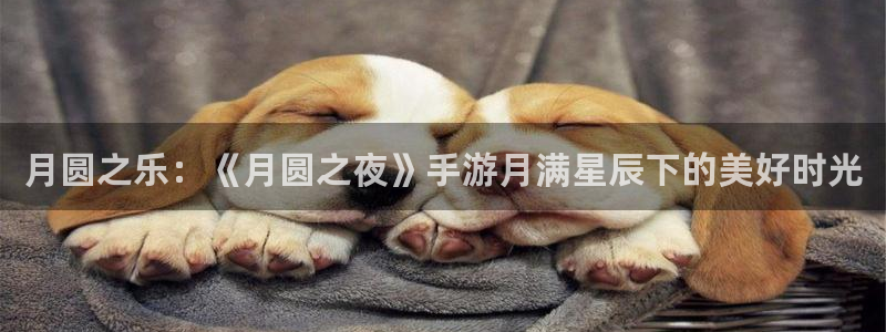 恩佐娱乐手机版最新功能介绍视频