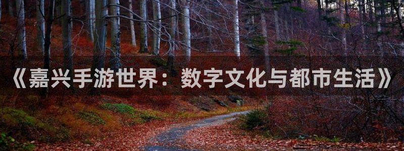 恩佐娱乐官方注册：《嘉兴手游世界：数字文化与都市生活》