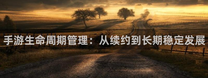 恩佐娱乐1：手游生命周期管理：从续约到长期稳定发展