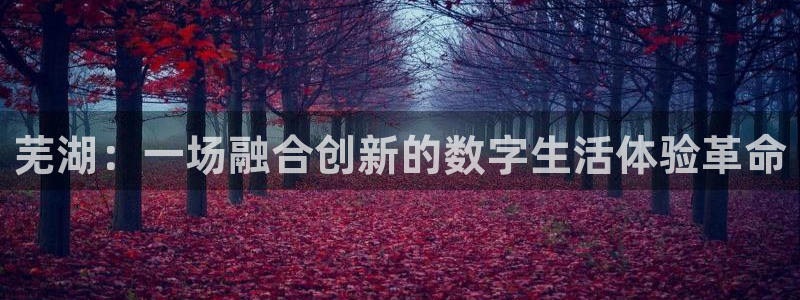 恩佐娱乐手机版最新功能介绍大全：芜湖：一场融合创新的数字生活