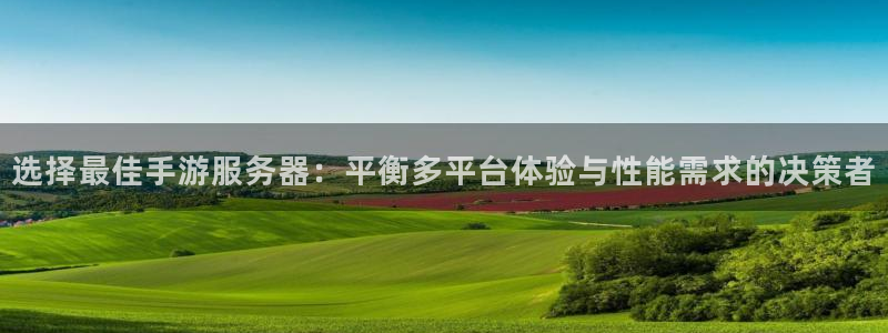 恩佐娱乐手机版最新功能介绍大全：选择最佳手游服务器：平衡多平