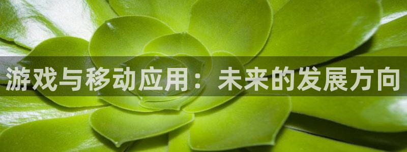 恩佐娱乐1：游戏与移动应用：未来的发展方向