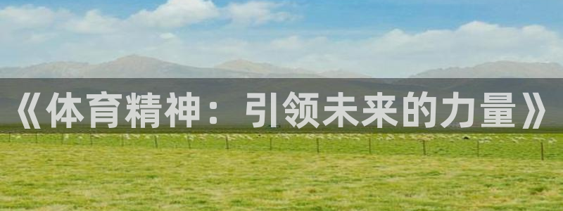 vsport体育在线官网