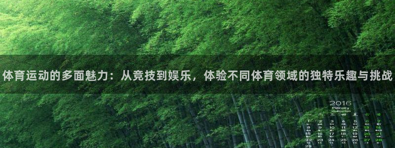 vsport体育在线官网：体育运动的多面魅力：从竞技到娱乐，体验不同体育领域的独特乐趣与挑战