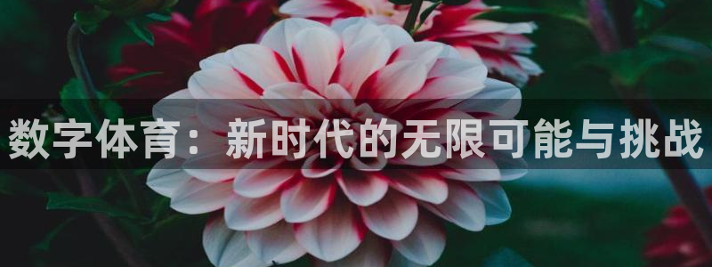 vsport体育在线官网：数字体育：新时代的无限可能与挑战