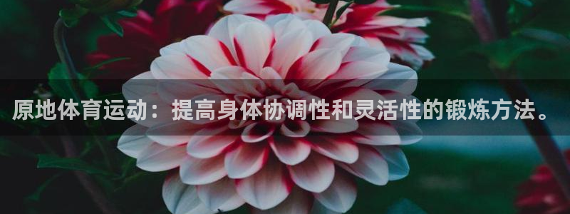 vsport体育：原地体育运动：提高身体协调性和灵活性的锻炼方法。
