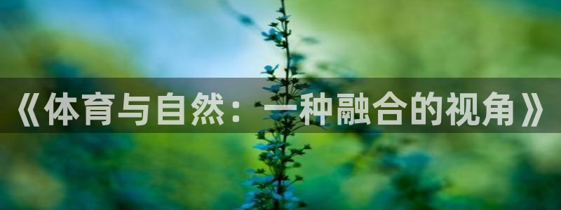 vsport体育：《体育与自然：一种融合的视角》