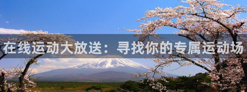 vsport体育：在线运动大放送：寻找你的专属运动场