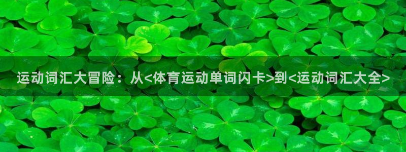 vsport体育在线官网：运动词汇大冒险：从<体育运动单词闪卡>到<运动词汇大全>