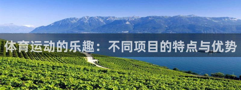 vsport体育在线官网
