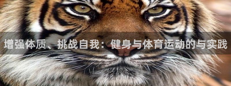 vsport体育在线官网
