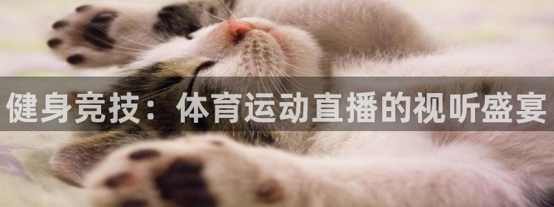 vsport体育：健身竞技：体育运动直播的视听盛宴