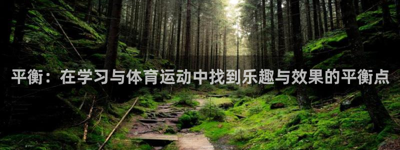 vsport体育：平衡：在学习与体育运动中找到乐趣与效果的平衡点